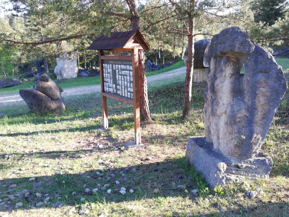 U Bazanta *** - Ubytovanie V Sukromi Vyšné Ružbachy Exteriör bild